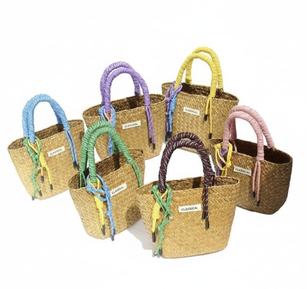 CARTERAS DE MANO PEQUEÑA CON ASA DE COLORES